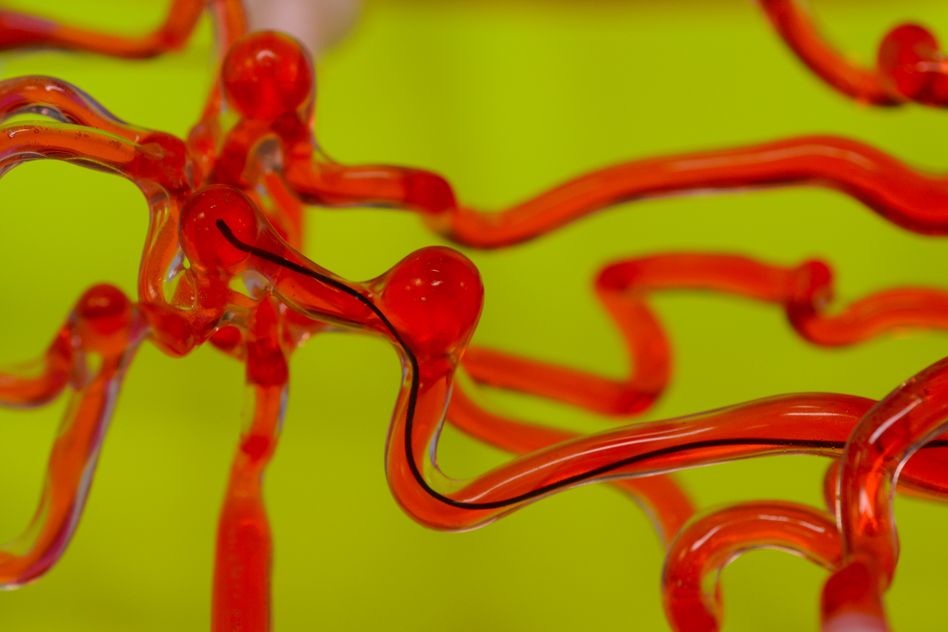 A magnetic thread inside a silicone vessel model, not an image from a patient.